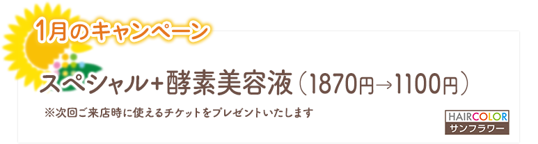 1月のキャンペーン