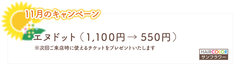 11月のキャンペーン